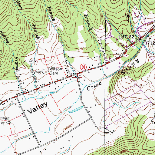 Topographic Map of Lewis Branch, TN