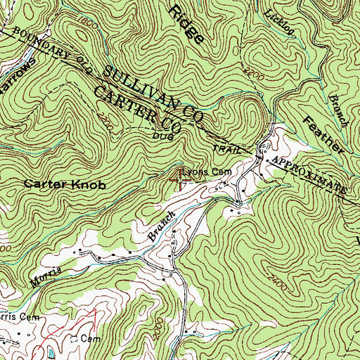 Topographic Map of Lyons Cemetery, TN