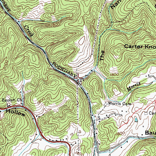 Topographic Map of Morris Branch, TN