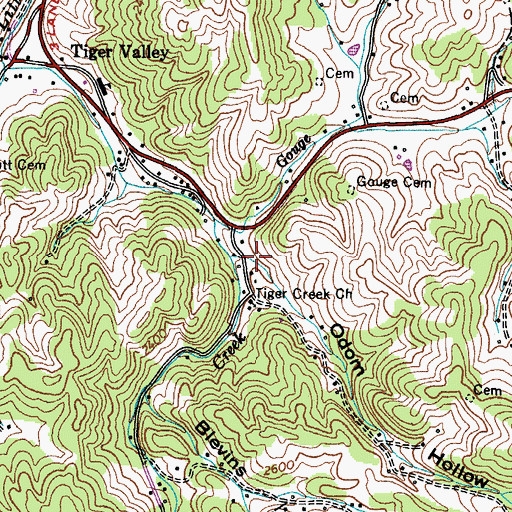 Topographic Map of Odom Hollow, TN