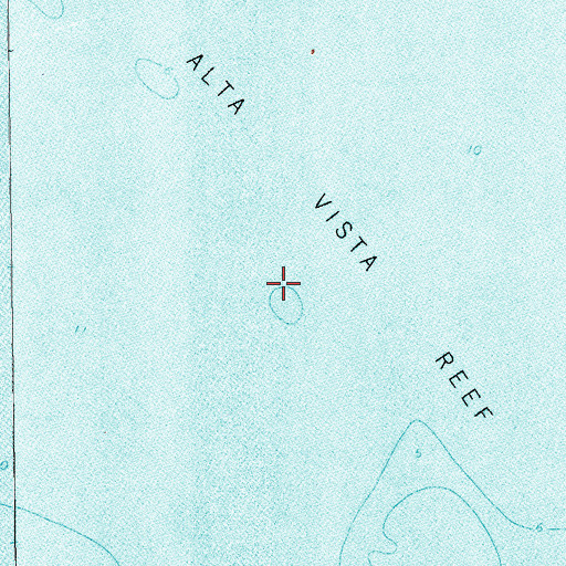 Topographic Map of Alta Vista Reef, TX