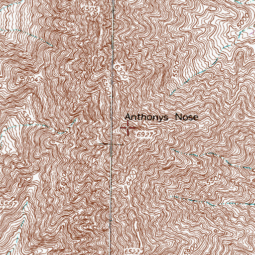 Topographic Map of Anthonys Nose, TX