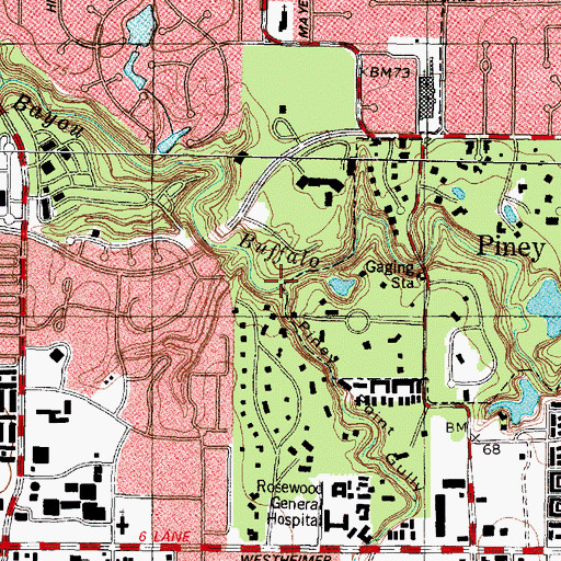 Topographic Map of Piney Point Gully, TX
