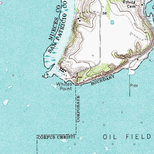Topographic Map of Whites Point, TX
