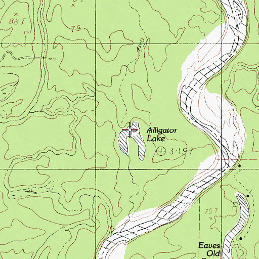 Topographic Map of Alligator Lake, TX