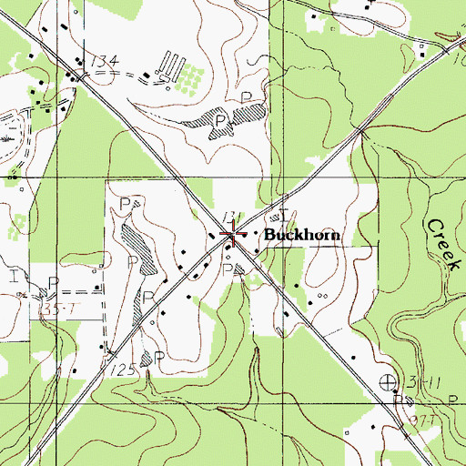Topographic Map of Buckhorn, TX