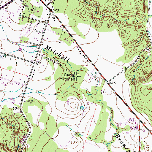 Topographic Map of Camp Mitchell, TX