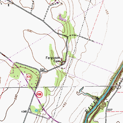 Topographic Map of Ferguson Cemetery, TX
