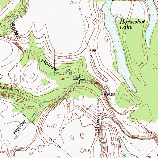 Topographic Map of Roden Hollow, TX