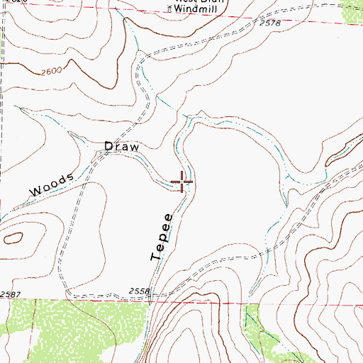 Topographic Map of Woods Draw, TX