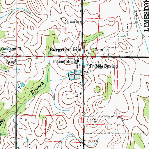Topographic Map of Burgreen Lake, AL