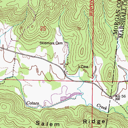 Topographic Map of Skidmore Chapel, AL