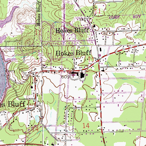 Topographic Map of Hokes Bluff Elementary School, AL