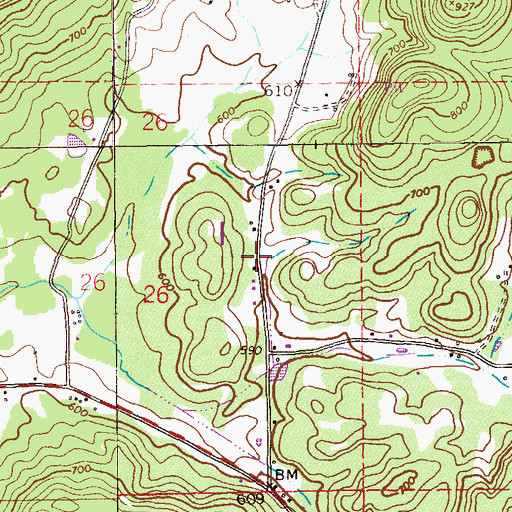 Topographic Map of Mount Polk, AL