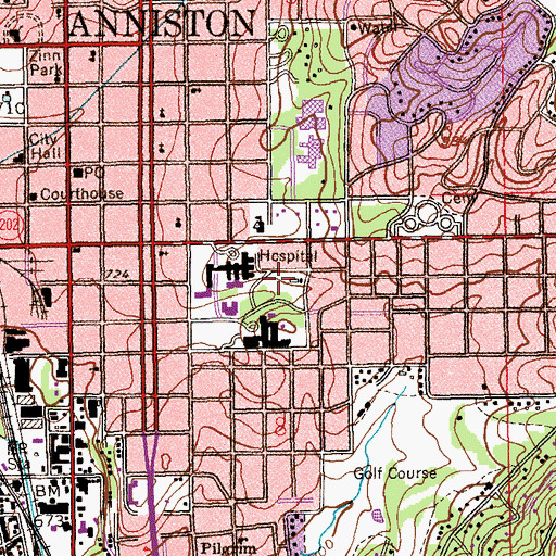 Topographic Map of Tyler Park, AL