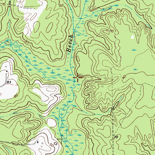Topographic Map of Beech Swamp, VA