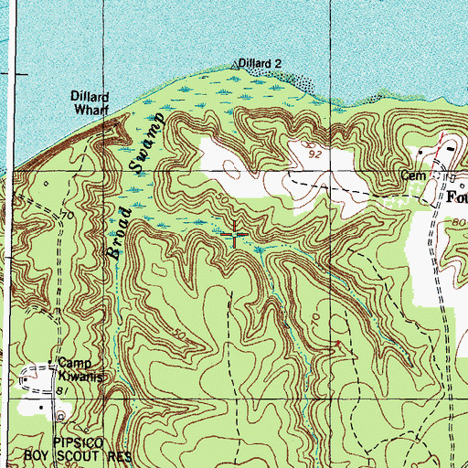 Topographic Map of Broad Swamp, VA