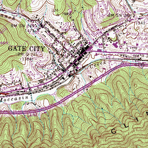Topographic Map of Burnt Cabin Branch, VA