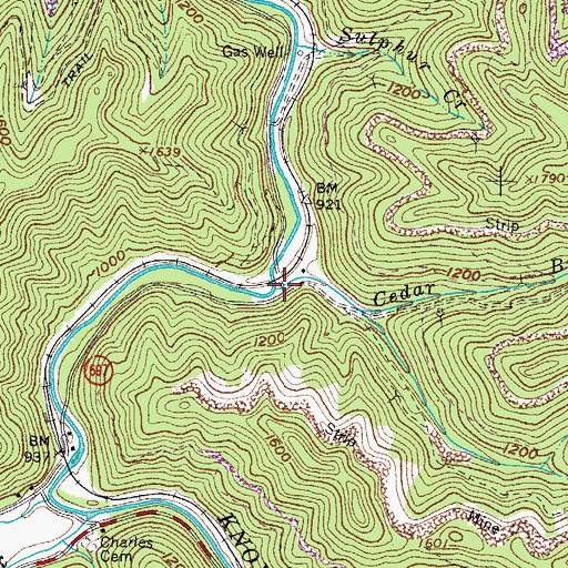 Topographic Map of Cedar Branch, VA