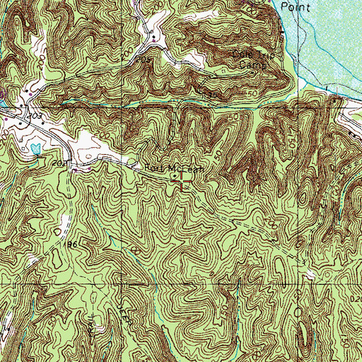Topographic Map of Cole Trip Camp, VA