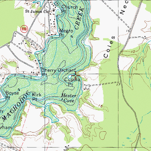 Topographic Map of Cupola Point, VA