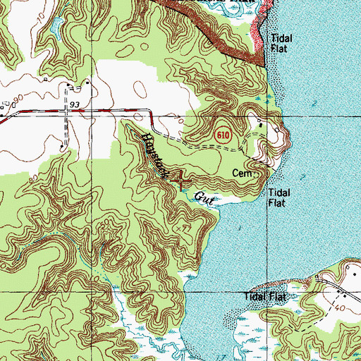 Topographic Map of Haystack Gut, VA