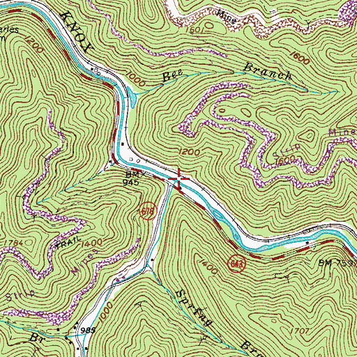 Topographic Map of Left Fork Race Fork, VA