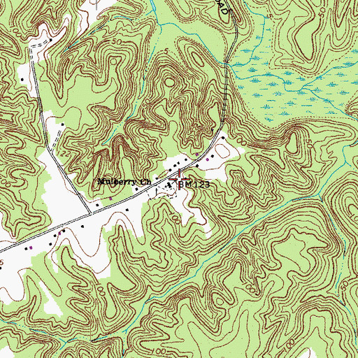Topographic Map of Mulberry Church, VA