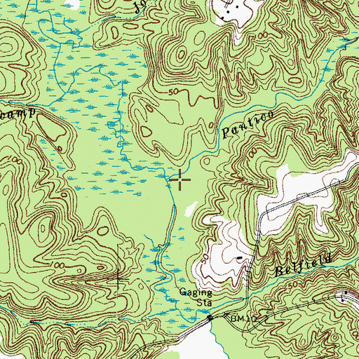 Topographic Map of Pantico Run, VA