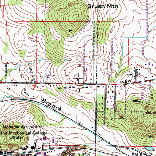 Topographic Map of Pleasant Springs Baptist Church, AL