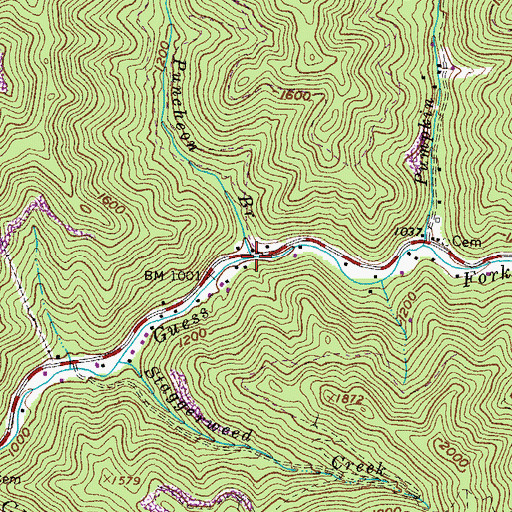 Topographic Map of Puncheon Branch, VA