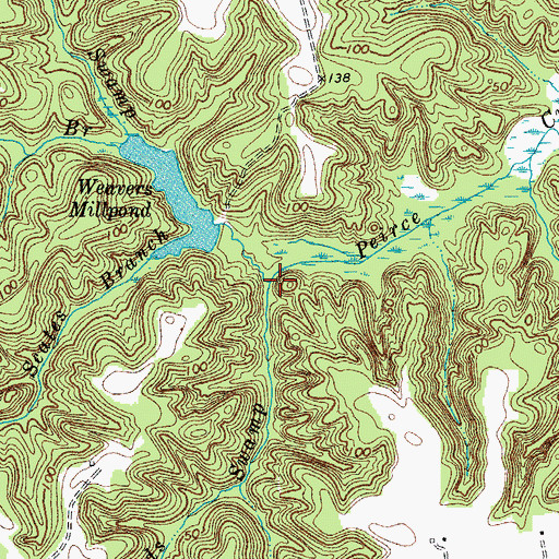 Topographic Map of Reeds Swamp, VA