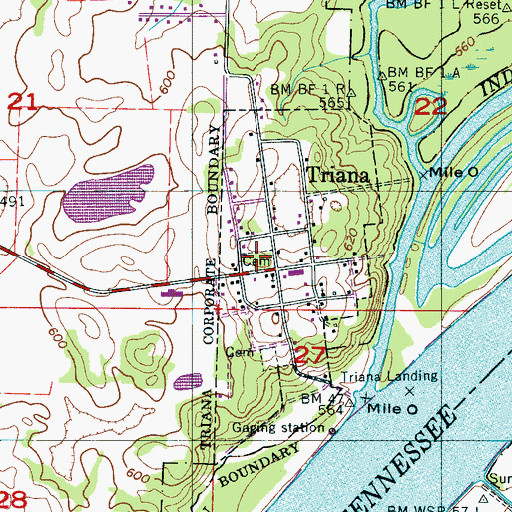 Topographic Map of Triana Cemetery, AL