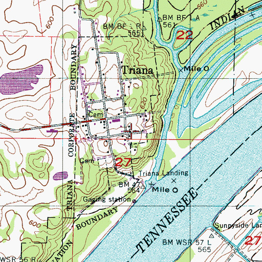 Topographic Map of Triana Church, AL