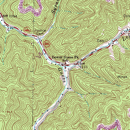 Topographic Map of Left Fork Guess Fork, VA