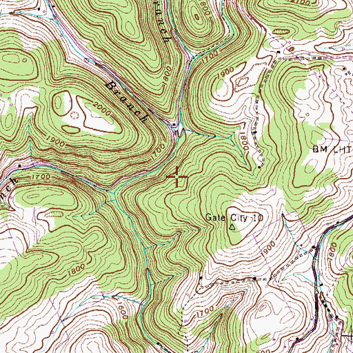 Topographic Map of Strong Branch, VA