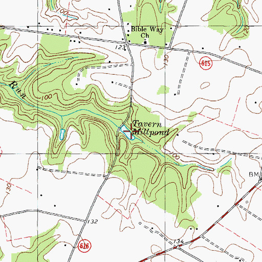 Topographic Map of Tavern Millpond, VA