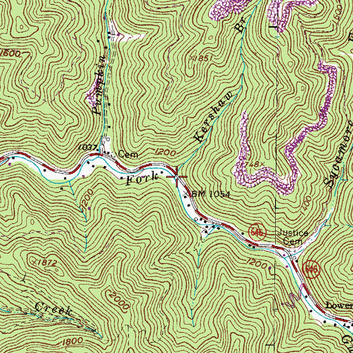 Topographic Map of Bay Branch, VA