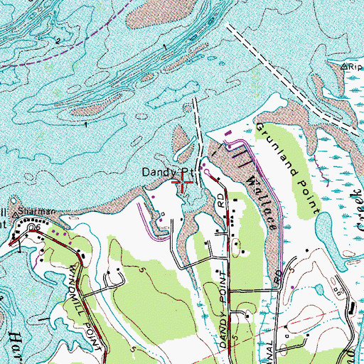 Topographic Map of Dandy Point, VA