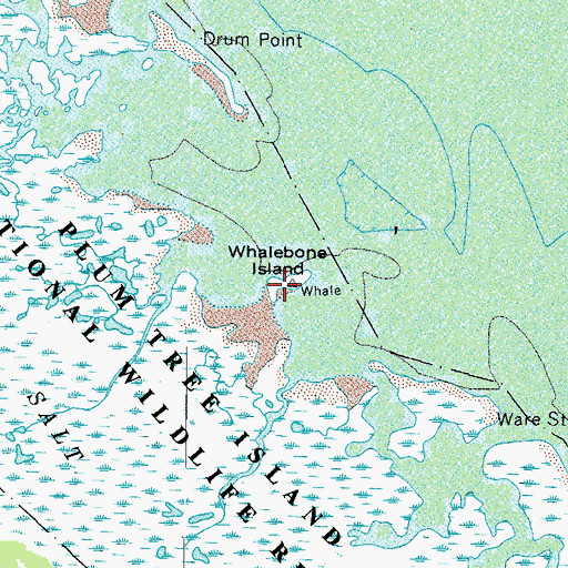 Topographic Map of Whalebone Island, VA