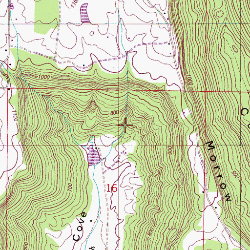 Topographic Map of Cove Spring Number 2, AL