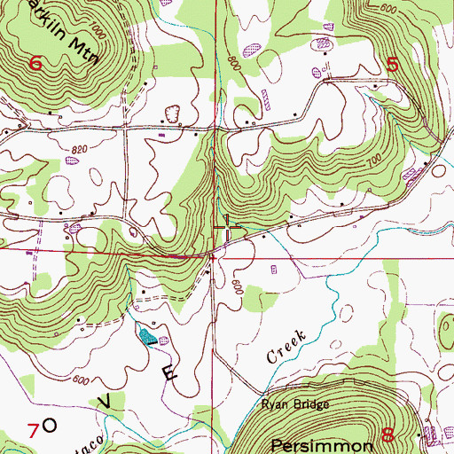 Topographic Map of Roan Spring, AL