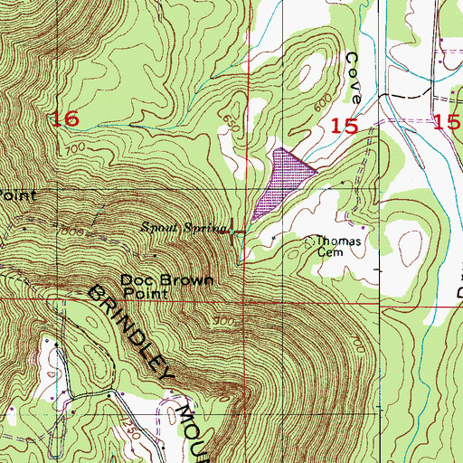 Topographic Map of Walden Spring, AL