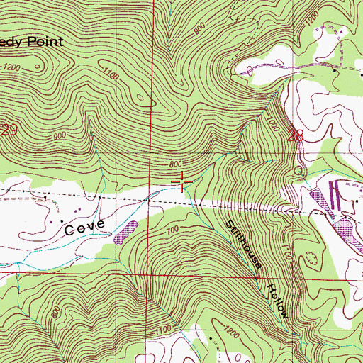Topographic Map of Williams Cove Spring, AL