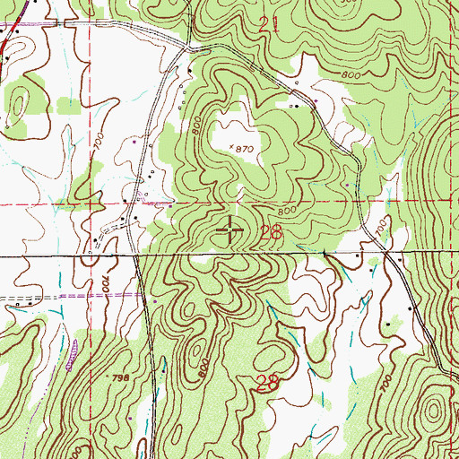 Topographic Map of Big Pine Hills, AL