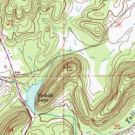 Topographic Map of Nesbitt Hill, AL