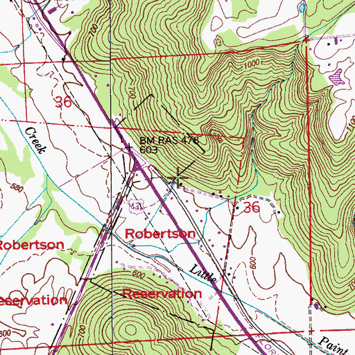Topographic Map of Cushion Spring, AL