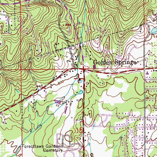 Topographic Map of Golden Springs, AL