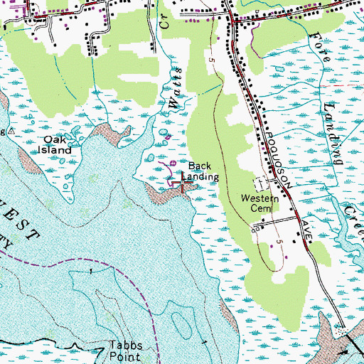 Topographic Map of Back Landing, VA