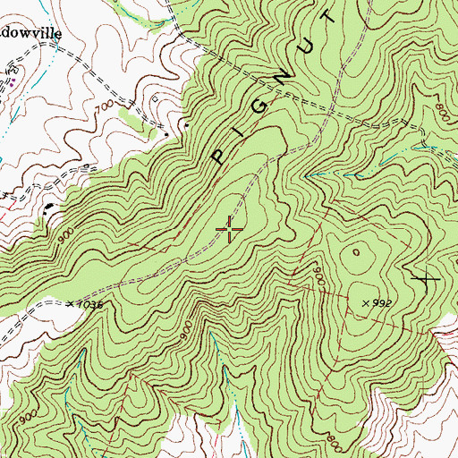 Topographic Map of Pignut Mountain, VA